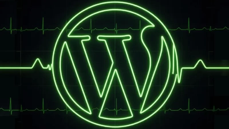 Custom WordPress Theme Development