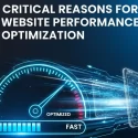 critical reasons for optimization