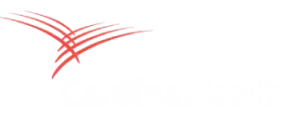 Zero Security, Total Adaptability: 25 Years on the Tech Industry's Fault Lines Cardinal Health