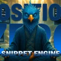 WordPress Plugin for Answer Engine Optimization | the Phoenix Position Zero Snippet Engine Plugin