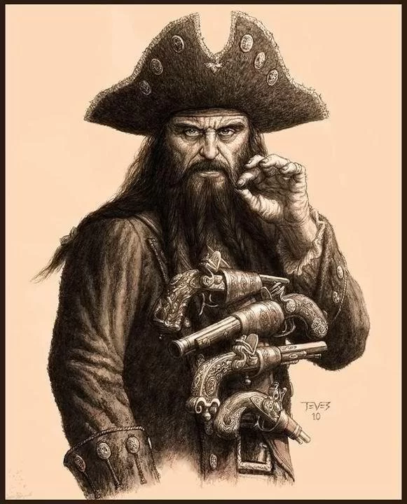 Zero Security, Total Adaptability: 25 Years on the Tech Industry's Fault Lines Blackbeard the Pirate