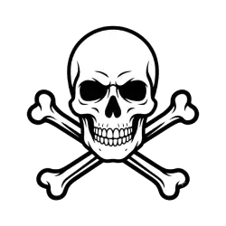 Zero Security, Total Adaptability: 25 Years on the Tech Industry's Fault Lines Skull and Crossbones